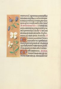 Stundenbuch der Königin Isabella die Katholische, Königin von Spanien: Fol. 139v, ca. 1500 von Master of the First Prayerbook of Maximillian
