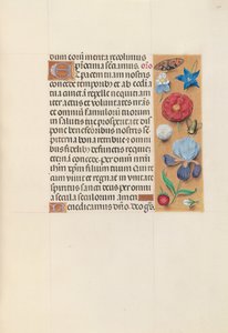 Stundenbuch der Königin Isabella die Katholische, Königin von Spanien: Fol. 140r, um 1500