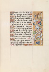 Stundenbuch der Königin Isabella der Katholischen, Königin von Spanien: Fol. 148r, um 1500 von Master of the First Prayerbook of Maximillian