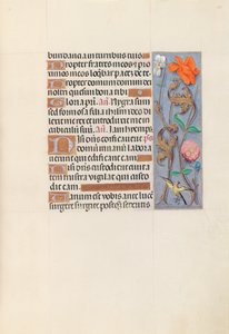 Stundenbuch der Königin Isabella der Katholischen, Königin von Spanien: Fol. 149r, um 1500 von Master of the First Prayerbook of Maximillian