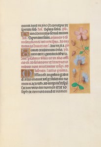 Stundenbuch der Königin Isabella der Katholischen, Königin von Spanien: Fol. 162r