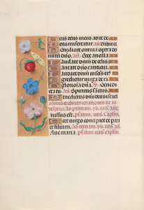 Stundenbuch der Königin Isabella die Katholische, Königin von Spanien: Fol. 164v, ca. 1500