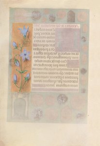 Stundenbuch der Königin Isabella der Katholischen, Königin von Spanien: Fol. 184v, um 1500