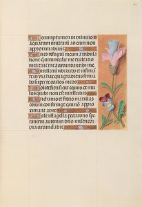 Stundenbuch der Königin Isabella der Katholischen, Königin von Spanien: Fol. 202r, ca. 1500