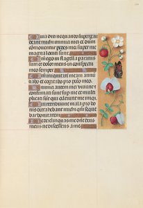 Stundenbuch der Königin Isabella die Katholische, Königin von Spanien: Fol. 204r, ca. 1500 von Master of the First Prayerbook of Maximillian