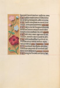 Stundenbuch der Königin Isabella der Katholischen, Königin von Spanien: Fol. 205v