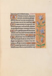 Stundenbuch der Königin Isabella der Katholischen, Königin von Spanien: Fol. 209r, um 1500