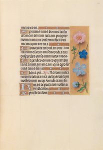 Stundenbuch der Königin Isabella der Katholischen, Königin von Spanien: Fol. 210r, ca. 1500