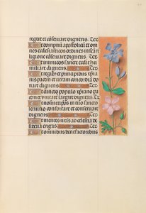 Stundenbuch der Königin Isabella der Katholischen, Königin von Spanien: Fol. 214r, um 1500
