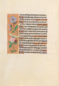 Stundenbuch von Königin Isabella der Katholischen, Königin von Spanien: Fol. 227v, ca. 1500 von Master of the First Prayerbook of Maximillian