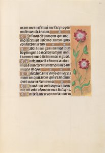 Stundenbuch der Königin Isabella der Katholischen, Königin von Spanien: Fol. 229r, ca. 1500