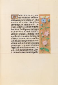 Stundenbuch der Königin Isabella die Katholische, Königin von Spanien: Fol. 232r, ca. 1500
