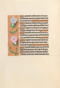 Stundenbuch der Königin Isabella die Katholische, Königin von Spanien: Fol. 234v