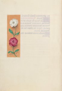 Stundenbuch der Königin Isabella der Katholischen, Königin von Spanien: Fol. 23v