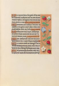 Stundenbuch der Königin Isabella der Katholischen, Königin von Spanien: Fol. 240r von Master of the First Prayerbook of Maximillian
