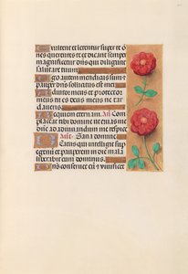 Stundenbuch der Königin Isabella der Katholischen, Königin von Spanien: Fol. 241r, c. 1500