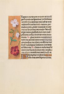 Stundenbuch der Königin Isabella der Katholischen, Königin von Spanien: Fol. 244v, ca. 1500