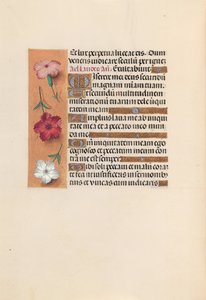 Stundenbuch der Königin Isabella die Katholische, Königin von Spanien: Fol. 246v, ca. 1500