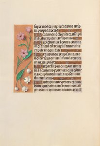 Stundenbuch der Königin Isabella der Katholischen, Königin von Spanien: Fol. 248v