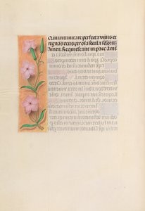 Stundenbuch der Königin Isabella der Katholischen, Königin von Spanien: Fol. 256v, Jungfrau und Kind, ca. 1500