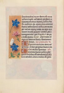 Stundenbuch der Königin Isabella der Katholischen, Königin von Spanien: Fol. 25v, ca. 1500