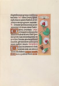 Stundenbuch der Königin Isabella die Katholische, Königin von Spanien: Fol. 35r, ca. 1500 von Master of the First Prayerbook of Maximillian