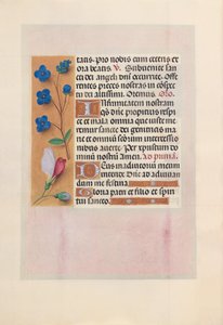 Stundenbuch der Königin Isabella der Katholischen, Königin von Spanien: Fol. 38v