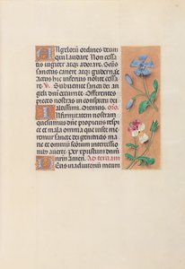 Stundenbuch der Königin Isabella der Katholischen, Königin von Spanien: Fol. 39r, um 1500
