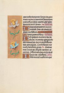 Stunden der Königin Isabella der Katholischen, Königin von Spanien: Fol. 40v, um 1500 von Master of the First Prayerbook of Maximillian