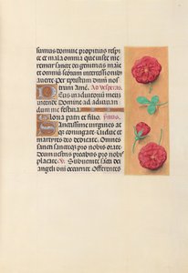 Stundenbuch der Königin Isabella der Katholischen, Königin von Spanien: Fol. 41r, um 1500