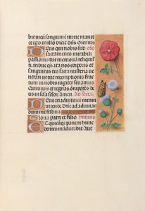 Stundenbuch der Königin Isabella der Katholischen, Königin von Spanien: Fol. 46r von Master of the First Prayerbook of Maximillian