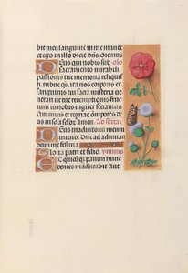 Stundenbuch der Königin Isabella der Katholischen, Königin von Spanien: Fol. 46r, ca. 1500 von Master of the First Prayerbook of Maximillian