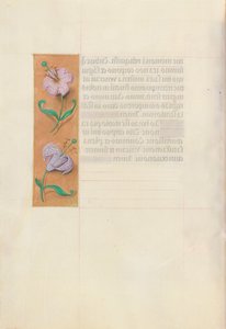 Stundenbuch der Königin Isabella die Katholische, Königin von Spanien: Fol. 49v, ca. 1500