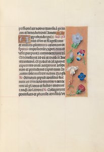 Stundenbuch der Königin Isabella der Katholischen, Königin von Spanien: Fol. 54r