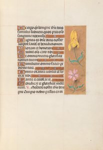 Stundenbuch der Königin Isabella der Katholischen, Königin von Spanien: Fol. 56r, um 1500