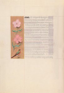 Stundenbuch der Königin Isabella der Katholischen, Königin von Spanien: Fol. 56v