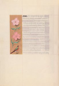 Stundenbuch der Königin Isabella der Katholischen, Königin von Spanien: Fol. 56v, ca. 1500