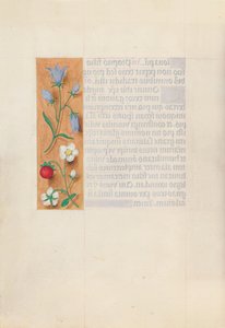 Stundenbuch der Königin Isabella der Katholischen, Königin von Spanien: Fol. 60v, um 1500