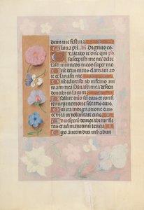 Stunden der Königin Isabella die Katholische, Königin von Spanien: Fol. 73v, ca. 1500
