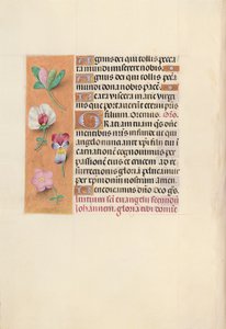 Stundenbuch der Königin Isabella der Katholischen, Königin von Spanien: Fol. 92v, ca. 1500