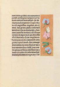 Stundenbuch der Königin Isabella der Katholischen, Königin von Spanien: Fol. 94r, ca. 1500
