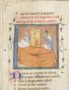 Miniatur aus einem Manuskript des Roman de la Rose von Guillaume de Lorris und Jean de Meun, ca. 1365