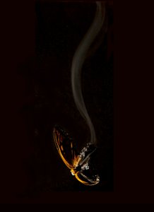 Brennender Schmetterling 15, 2013