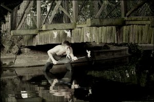Feen fangen 2 von Mat Collishaw