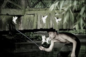 Feen fangen 5 von Mat Collishaw