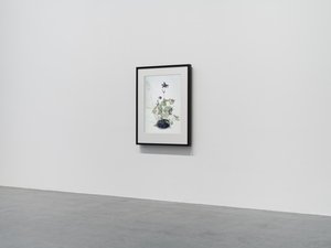 Columbine von Mat Collishaw