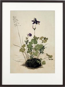 Columbine, 2018 von Mat Collishaw