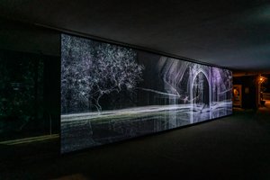 Echolokation, 2021 von Mat Collishaw