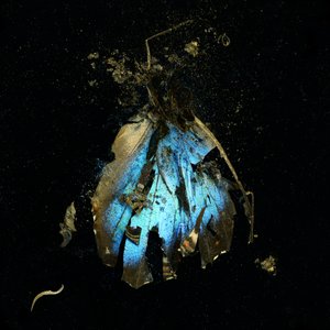 Insektizid 16, 2009 von Mat Collishaw