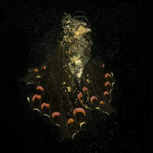 Insektizid 28, 2011 von Mat Collishaw